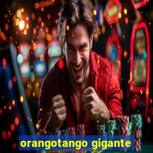 orangotango gigante